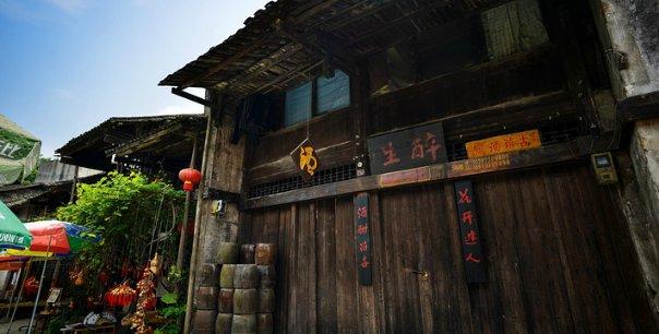 逃离泰莱森林
